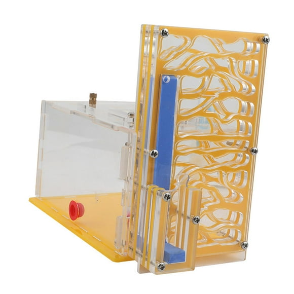 EHJRE ANT Housing Nest Clear Display Box ANT Farm for Bedroom Living Room Tabletop Yellow