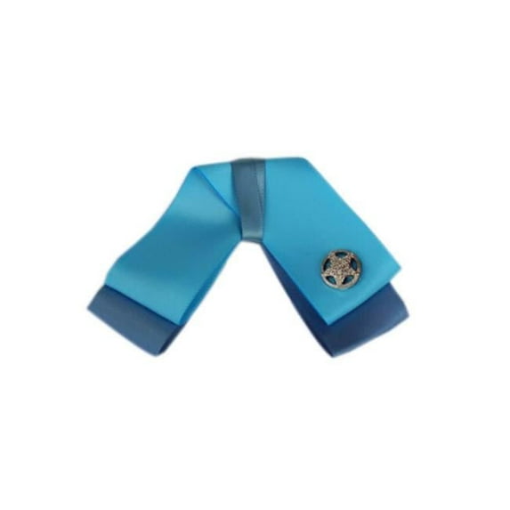 Womens Formal Wear Professional Neckties - Light Blue Two Layers