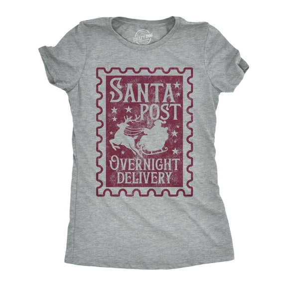 Womens Funny T Shirts Santa Post Overnight Delivery Sarcastic Christmas Graphic Novelty Tee For Ladies Womens Graphic Tees