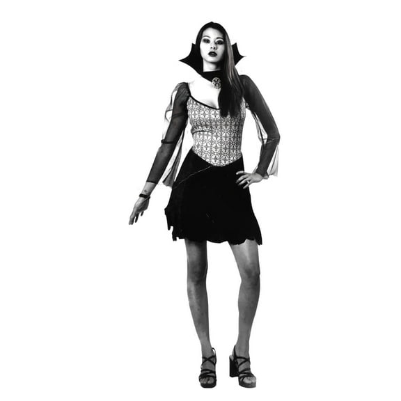 Womens Gothic Priestess Costume Vampiress One Size Fits Most