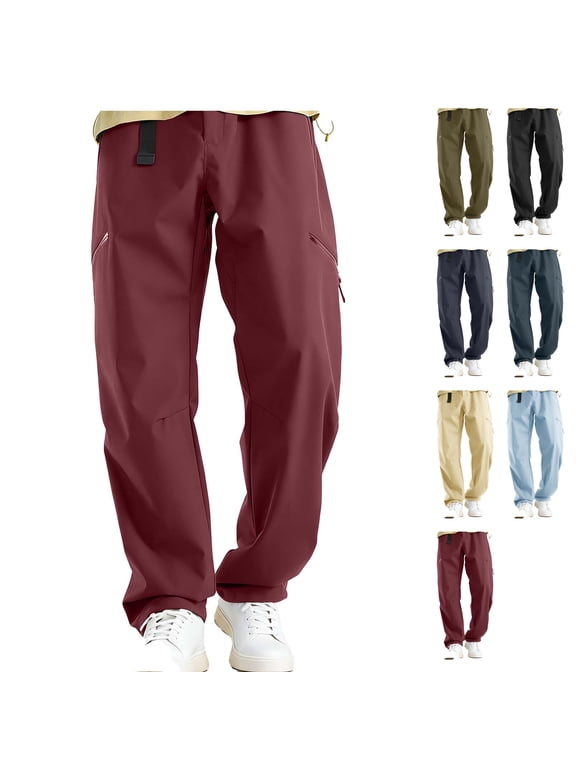 Womens High Waisted Belted Cargo Hiking Pants Loose Fit Straight Leg Windproof Water Resistant with 4 Zipper Pockets for Travel, Purple, L