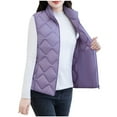 thumbnail image 1 of Womens Lightweight Puffer Vest Jacket Plus SIze Winter Thick Warm Outerwear Sleeveless Stand Collar Full-zip Coat (3XL, Purple), 1 of 7