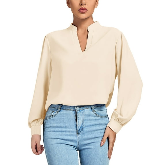 Womens Loose Fit Dressy Tops Lantern Long Sleeve Work Office Blouses V Neck Lightweight Business Casual Outfit (XX-Large, Beige)