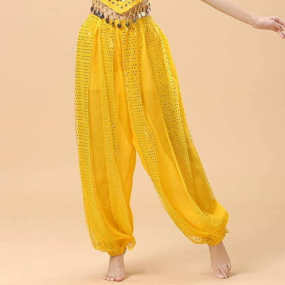 Womens Pants Sequin Belly Dance Performance Dance Chiffon Highlight Pant Outwear