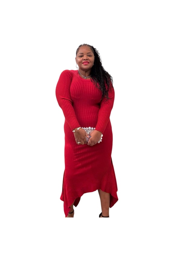Skater Maxi Long Sleeve Dress, Women's Plus