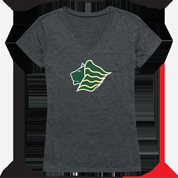 Womens Saint Leo University Cinder Tee, Heather Charcoal - Medium