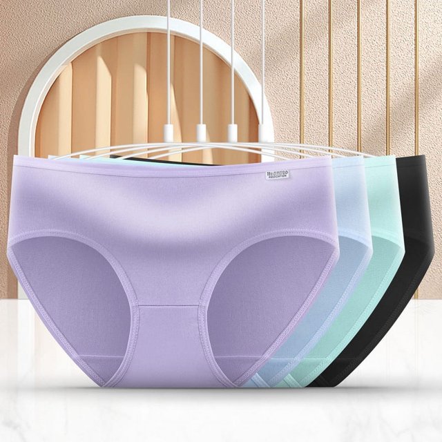 Womens Seamless Underwear No Show Panties for Women Breathable Bikini