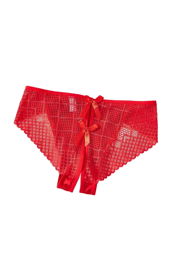 Womens Sexy Lace Panties Sheer Open Front Cheeky - Mesh Underwear Low Rise Plus Size, Red,Size 2XL