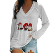 HYWYS Report on the geological survey of the State of Iowa: Volume P (1858) [Leatherbound]