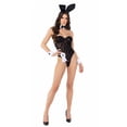 thumbnail image 1 of Womens Sheer Playboy Bunny Costume, 1 of 5