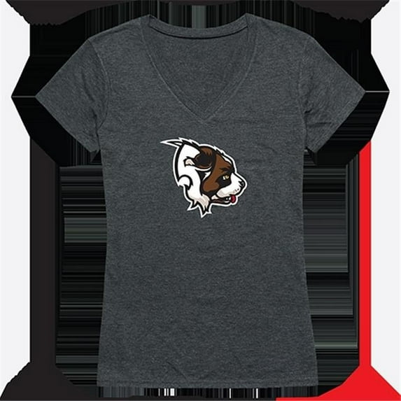 Womens Siena College Cinder Tee, Heather Charcoal - Large