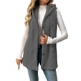 thumbnail image 1 of Womens Texture Sherpa Fleece Vest Button Down Hooded Sleeveless Jacket Fall Winter Casual Outwear, 1 of 5