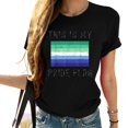 thumbnail image 1 of Womens This Is My Pride Flag | Gay Pride Flag Stuff n Merch T-Shirt Black 2X-Large, 1 of 5