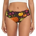 thumbnail image 1 of Womens Underwear -  Autumn Harvest Pumpkin Joy No Show Seamless Underwear for Women, Soft Stretch Sexy Women's Panties, Cute Hipster Ladies Panties Bikini Underwear Briefs, 1 of 6