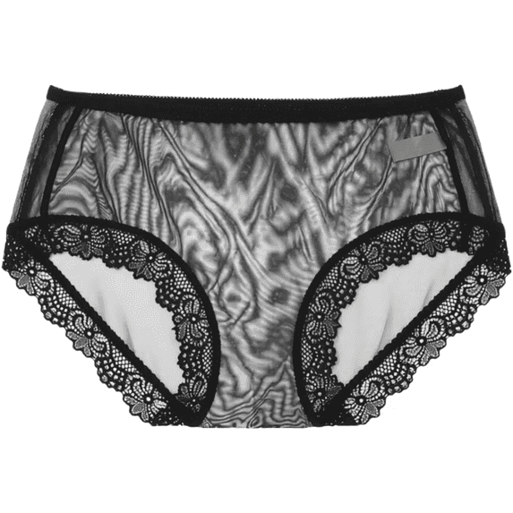 Womens Underwear Breathable Comfortable Transparent Lace Thin Mesh Mid Waist Large Hot Full Coverage Panties