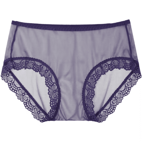 Womens Underwear Breathable Comfortable Transparent Lace Thin Mesh Mid Waist Large Hot Full Coverage Panties