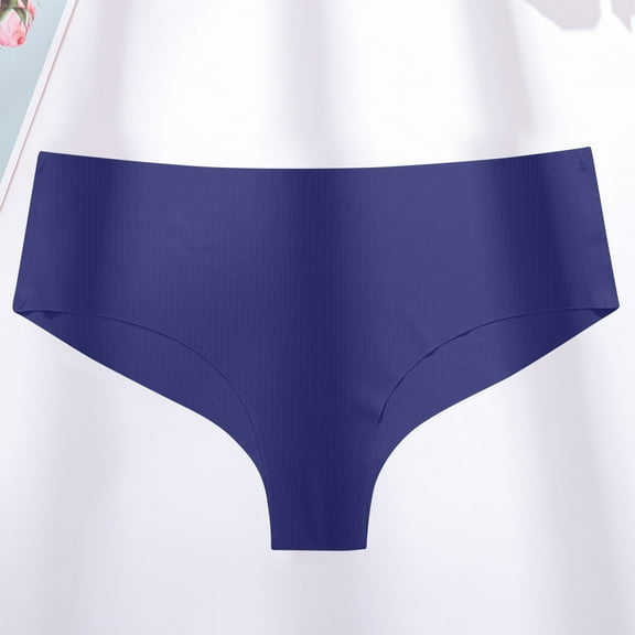 Womens Underwear Brief Panties Womens Low Waisted Sexy Seamless Plus Size Underwear Solid Color Blue XS