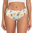 thumbnail image 1 of Womens Underwear Cartoon Monkey Cuteness No Show Seamless Underwear for Women, Soft Stretch Women's Panties, Hipster Ladies Panties Bikini Underwear Briefs, 1 of 6