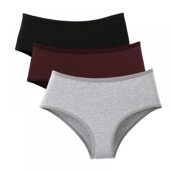 Womens Underwear Cotton Hispters Lace Breathable Briefs Full Coverage Panties Multipack