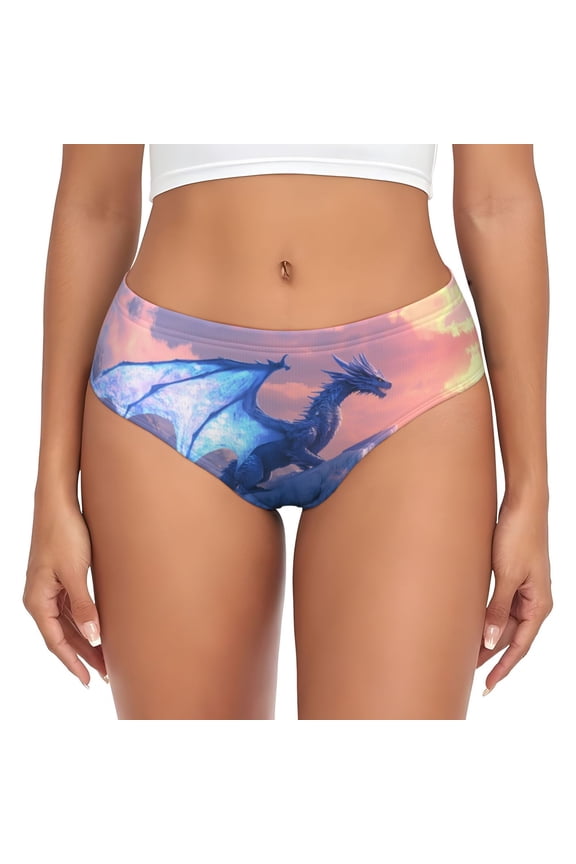 Womens Underwear - Frozen Peak Ice Dragon No Show Seamless Underwear for Women, Stretch Women's Panties, Hipster Soft Comfort Ladies Panties Bikini Underwear Briefs