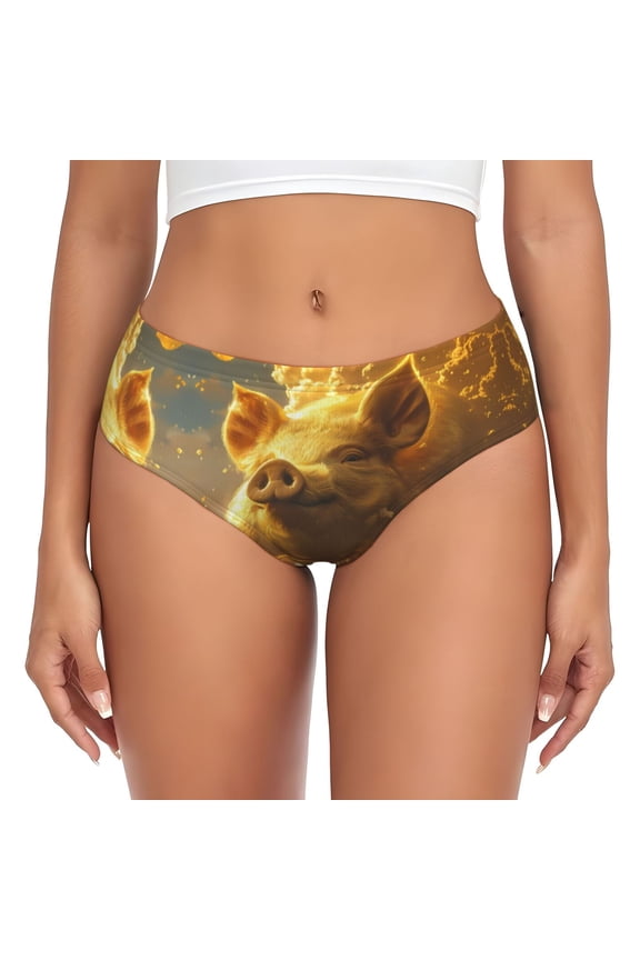 Womens Underwear - Golden Pig Cloud Fantasy No Show Seamless Underwear for Women, Stretch Women's Panties, Hipster Soft Comfort Ladies Panties Bikini Underwear Briefs