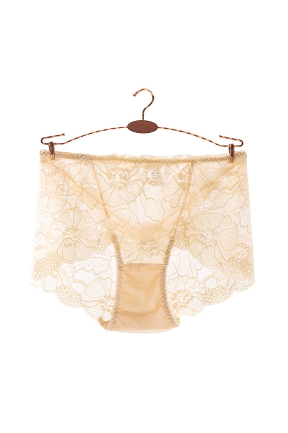 Womens Underwear Openwork Lace Panties Mid Rise Lightweight Mesh Breathable Underwear Provocative Briefs