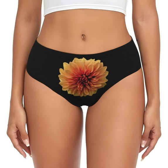 Womens Underwear Orange Dalia Cuteness No Show Seamless Underwear for Women, Soft Stretch Women's Panties, Hipster Ladies Panties Bikini Underwear Briefs