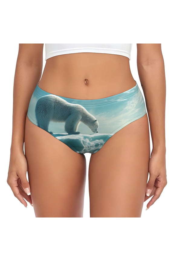 Womens Underwear - Polar Bear On Iceberg No Show Seamless Underwear for Women, Stretch Women's Panties, Hipster Soft Comfort Ladies Panties Bikini Underwear Briefs