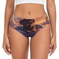 thumbnail image 1 of Womens Underwear - Puppy Lying on a Cloud No Show Seamless Underwear for Women, Soft Stretch Womens Panties, Hipster Ladies Panties Bikini Underwear Briefs, 1 of 6