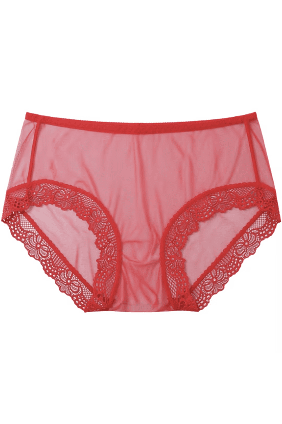 Womens Underwear Sheer Mesh Lace Mid Waist Loose Sexy Brief Panties for Women Red L