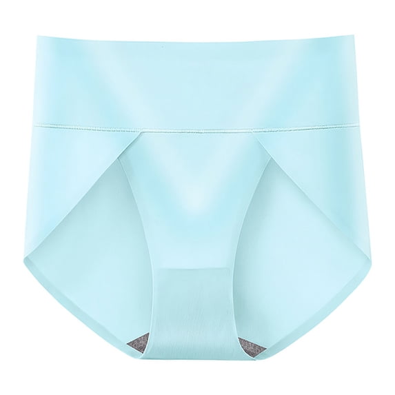 Womens Underwear Tagless Cotton High Waist High Cut Full Coverage Soft Brief Panties for Women Blue 2XL