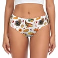 thumbnail image 1 of Womens Underwear - Thanksgiving Turkeys 1 No Show Seamless Underwear for Women, Stretch Women's Panties, Hipster Soft Comfort Ladies Panties Bikini Underwear Briefs, 1 of 6