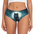 thumbnail image 1 of Womens Underwear Wolf Cuteness No Show Seamless Underwear for Women, Soft Stretch Women's Panties, Hipster Ladies Panties Bikini Underwear Briefs, 1 of 6