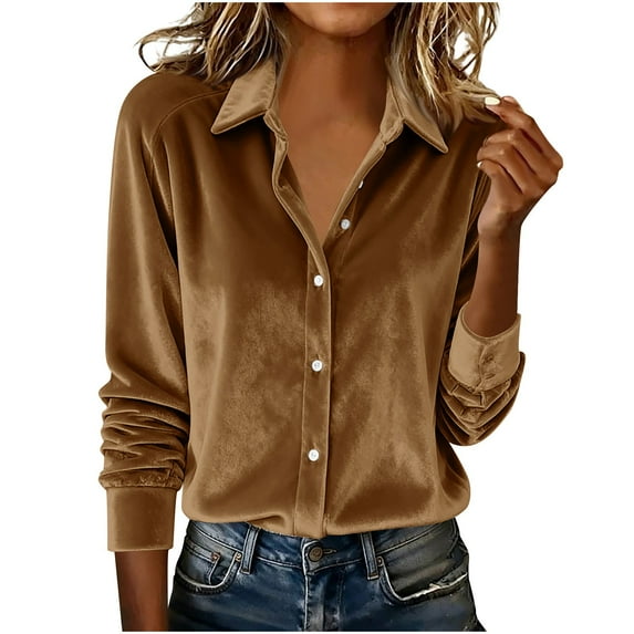 Womens Vintage Velvet Blouse Casual Long Sleeve Button Down Tops Elegant Loose Shirts for Business Office Party Outfits (Brown,XL)