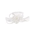 thumbnail image 1 of Womens Wavy Large Brim Satin Braid Hat w/ Stone & Feather - White, 1 of 1
