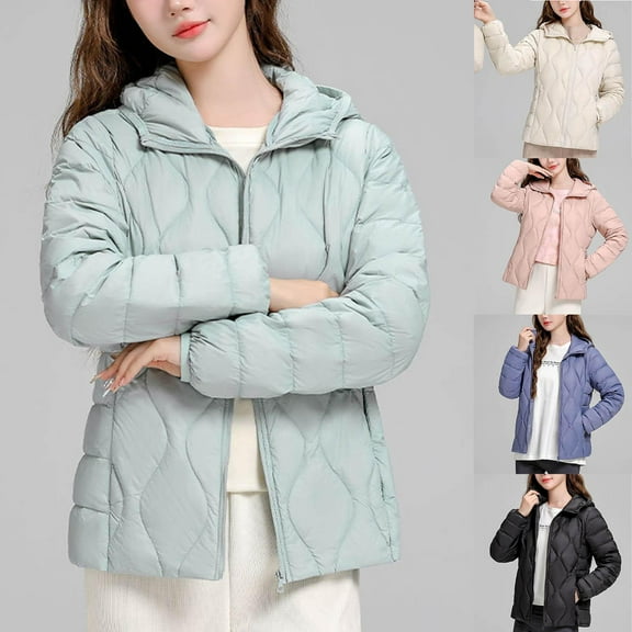 Womens Winter Plus Size Coats Solid Color Lightweight Down Long Sleeved Versatile Short Hooded Light Blue Outerwear Coats (M)