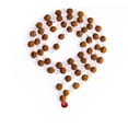 thumbnail image 1 of Wonder Care Rudraksh Mala-5face- Himalayan Rudraksha Seeds Ornament Rosary Japa Mala Necklace Mala Beads, 1 of 4