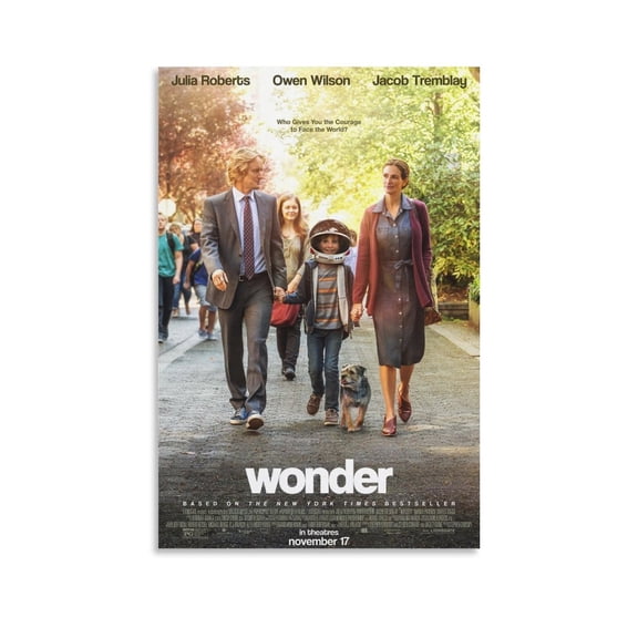 Wonder Classic Movie Poster Wall Art Poster Scroll Canvas Painting Picture Living Room Decor Home 16x24inch(40x60cm)