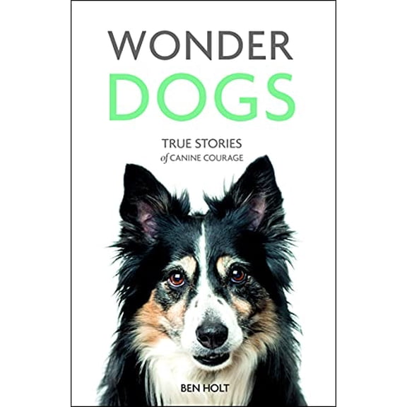 Pre-Owned Wonder Dogs: True Stories of Canine Courage (Paperback) 1849539979 9781849539975