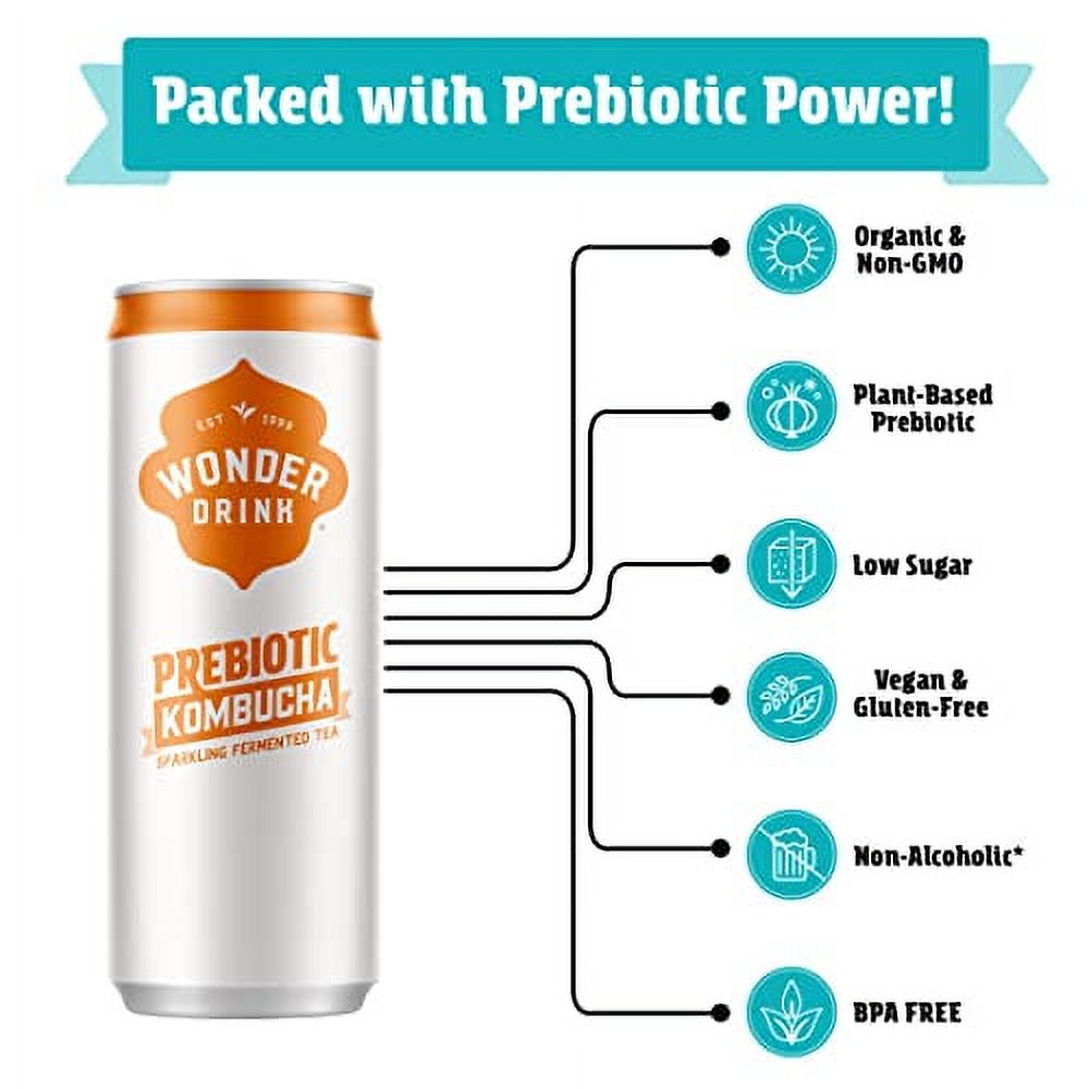 Wonder Drink Organic Kombucha PlantBased Prebiotic Gut Health