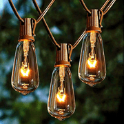 Wonder Garden Outdoor String Lights with 22 Edison Bulbs Vintage Lights Waterproof ST40 Decor Lights 20Ft