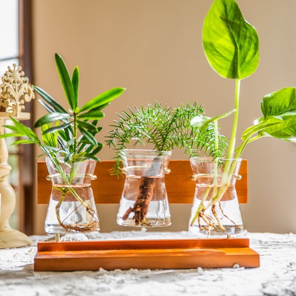 Wonder Garden Terrarium Trio with Wooden Stand (3 Count)