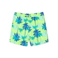thumbnail image 1 of Wonder Nation Baby and Toddler Boy Swim Trunks, Size 12M-5T, 1 of 3