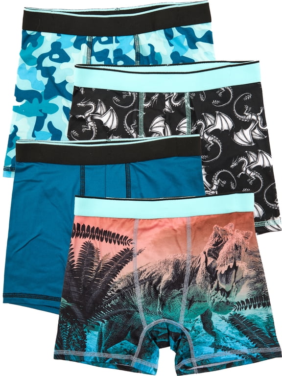 Boys Boxer Brief Dinosaur Underwear, 4-Pack, Sizes S-XL