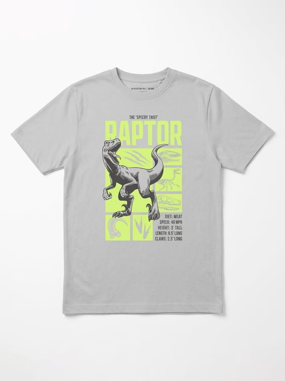, Boys' Graphic T-Shirt, The Speedy Thief, Sizes 4-18