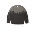 thumbnail image 1 of Wonder Nation Boys Long Sleeve Forest Intarsia Sweater, Sizes 4-18, 1 of 5
