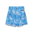 thumbnail image 1 of Wonder Nation Boys Quick Dry Stretch Swim Trunks with UPF 50+, Sizes 4-18 & Husky, 1 of 3