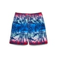 thumbnail image 1 of Wonder Nation Boys Quick Dry Stretch Swim Trunks with UPF 50+, Sizes 4-18 & Husky, 1 of 3
