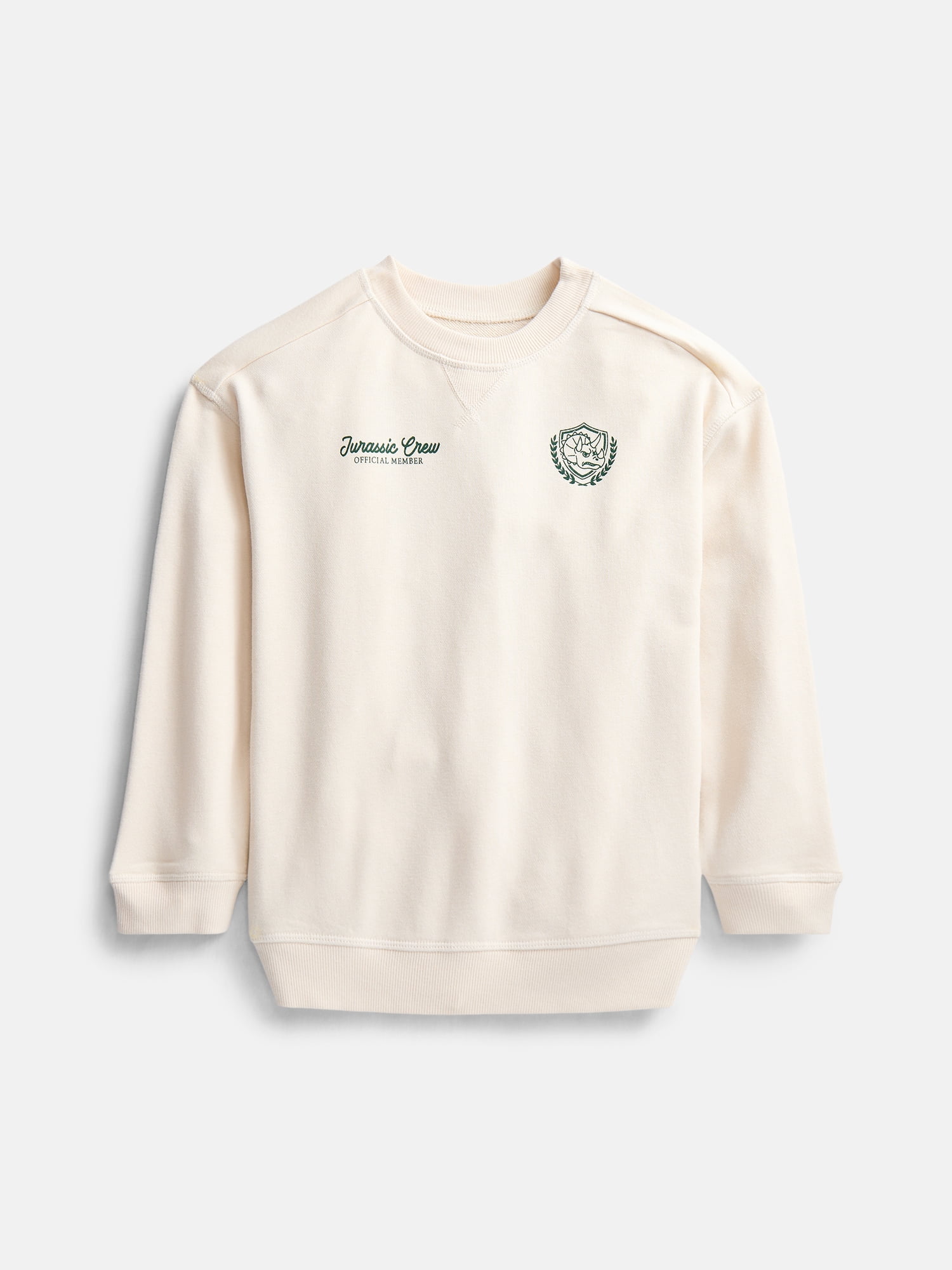 Wonder Nation Little Boys Crewneck Graphic Sweatshirt with Long Sleeves, Sizes 4-10