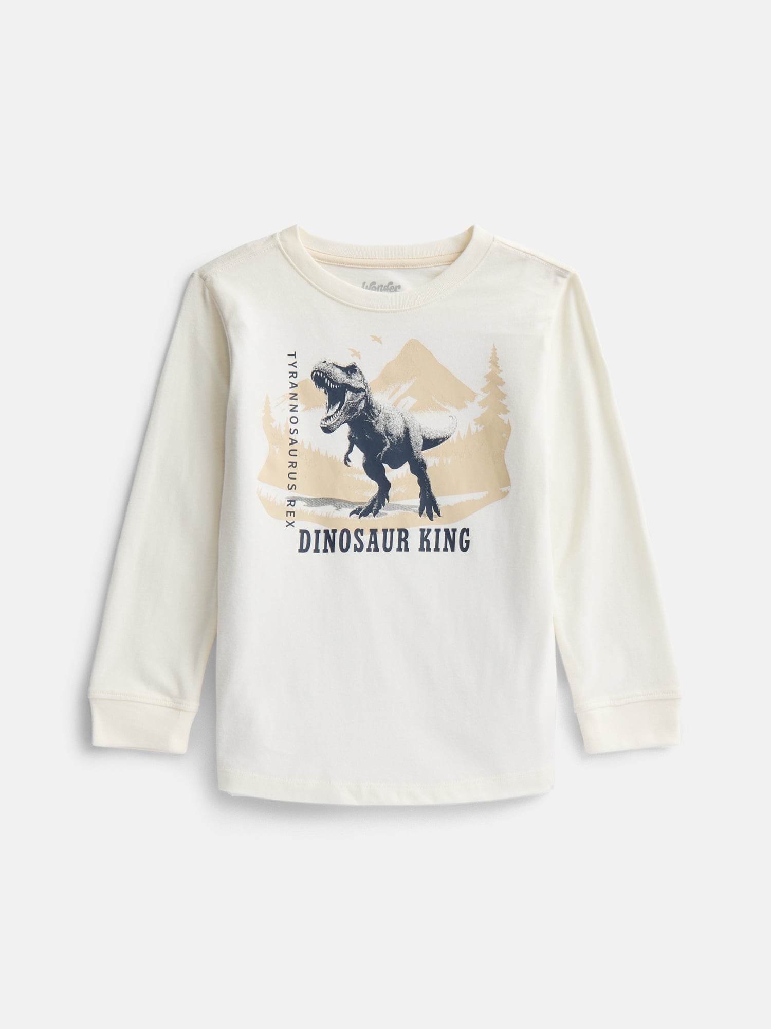 Wonder Nation Little Boys Graphic Tee with Long Sleeves, Sizes 4-26